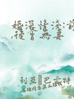 婚深情浅:前夫,后会无妻