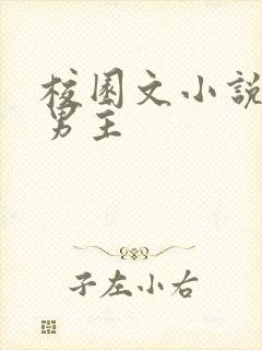 校园文小说校霸男主