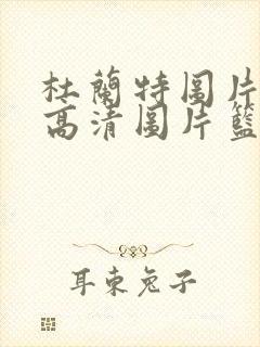 杜兰特图片壁纸高清图片篮网