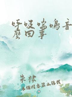 呼吸喘鸣音是怎么回事