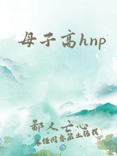 母子高hnp