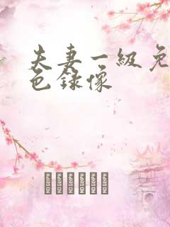 夫妻一级免费黄色录像