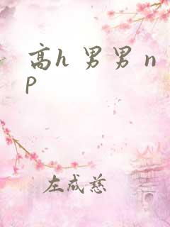 高h 男男 np