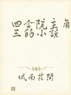 四合院主角袁十三的小说