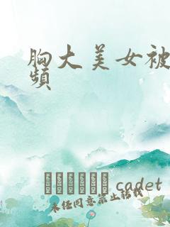 胸大美女被搞视频