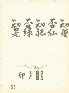 知否知否知否应是绿肥红瘦四姑娘结局