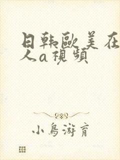 日韩欧美在线成人a视频 日韩欧美在线成人a视频