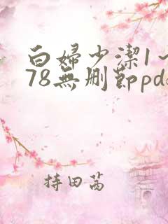 白妇少洁1～178无删节pdf