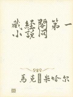 藏经阁第一版主小说网
