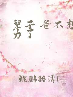 儿子 爸不想努力了