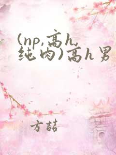 (np,高h,纯肉)高h男男