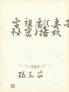电视剧(妻子的秘密)播放