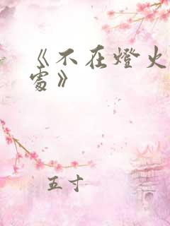 《不在灯火阑珊处》