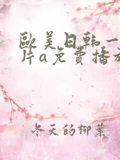 欧美日韩一级淫片a免费播放
