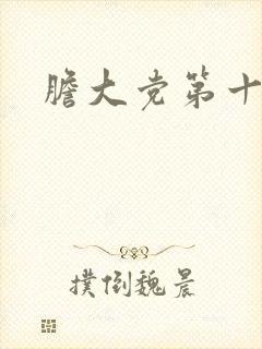 胆大党第十一集