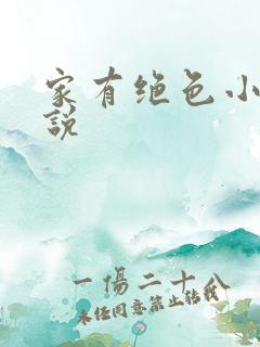 家有绝色小姨小说 家有绝色小姨小说