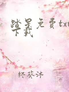踏星免费txt下载