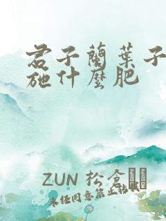 君子兰叶子发黄施什么肥