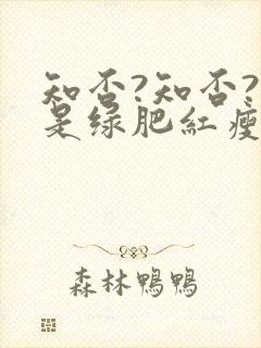 知否?知否?应是绿肥红瘦(网文版)