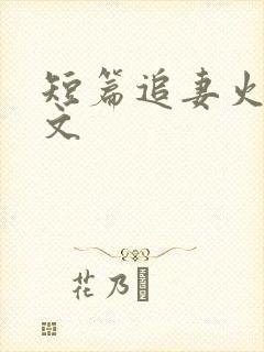 短篇追妻火葬场文