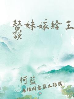 替妹嫁给王爷小说