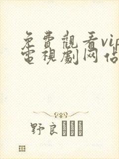 免费观看vip电视剧网站