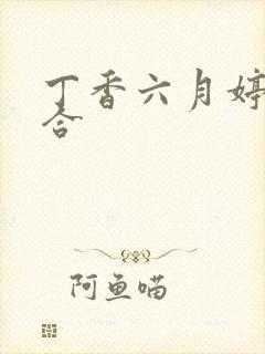 丁香六月婷婷综合