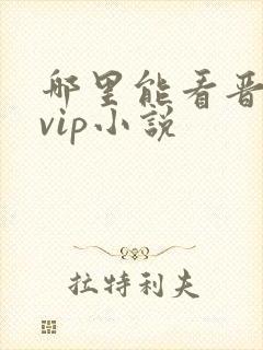 哪里能看晋江的vip小说