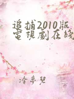 追捕2010版电视剧在线观看免费