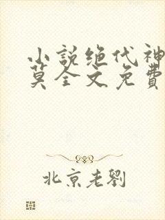小说绝代神主苏莫全文免费下载