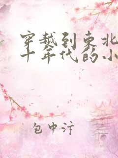 穿越到东北的六十年代的小说