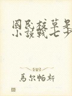 国民校草是女生小说战七少