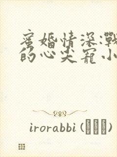 蜜婚情深:战少的心尖宠小说
