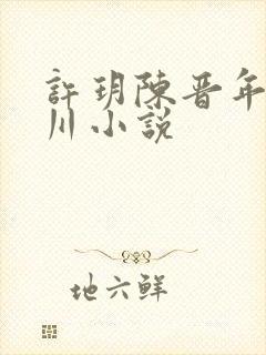 许玥陈晋年沈淮川小说