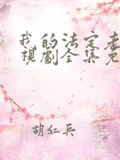 我的法定老公电视剧全集免费观看