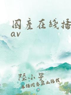 国产在线播放的av