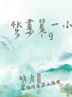 4k画质一小时多少个g