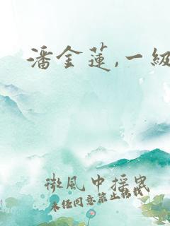 潘金莲,一级片