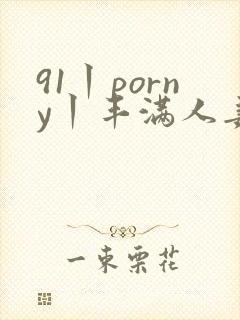 91丨porny丨丰满人妻