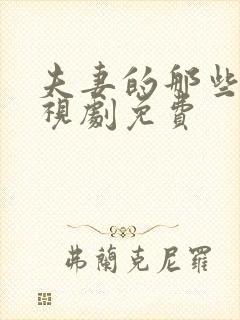 夫妻的那些事电视剧免费