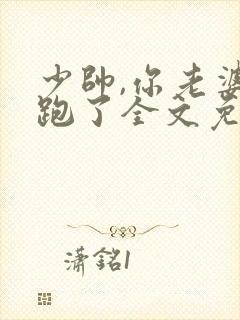 少帅,你老婆又跑了全文免费阅读