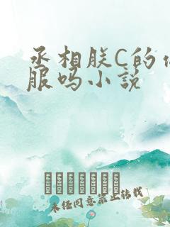 丞相朕C的你舒服吗小说