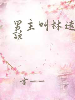 男主叫林远的小说