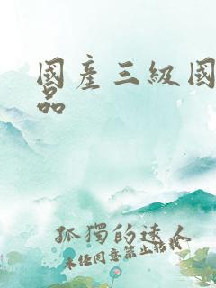 国产三级国内精品