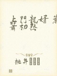 上门龙婿 叶辰萧初然