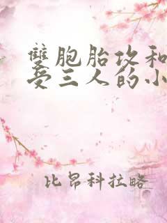 双胞胎攻和双性受三人的小说