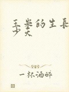 玉米的生长期多少天
