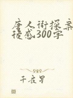 唐人街探案二观后感300字