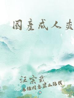 国产成人爽片