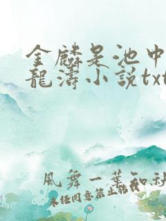 金麟是池中物侯龙涛小说txt下载